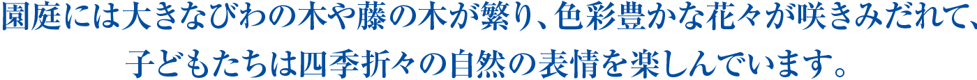 園庭には大きなびわの木や藤の木が繁り、色彩豊かな花々が咲きみだれて、
子どもたちは四季折々の自然の表情を楽しんでいます。