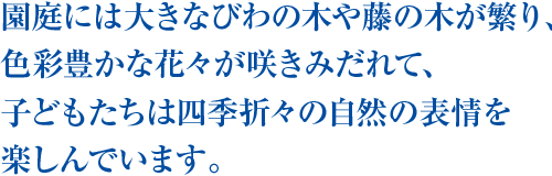 園庭には大きなびわの木や藤の木が繁り、色彩豊かな花々が咲きみだれて、
子どもたちは四季折々の自然の表情を楽しんでいます。