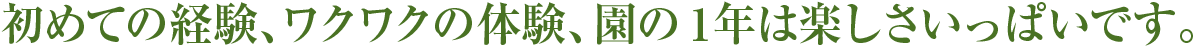 初めての経験、ワクワクの体験、
園の1年は楽しさいっぱいです。